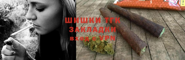 шишки Белокуриха