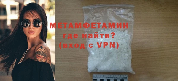 шишки Белокуриха