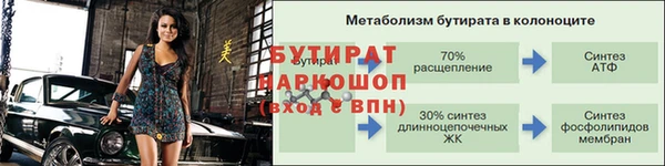 шишки Белокуриха