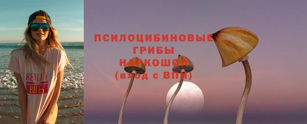 ПСИЛОЦИБИНОВЫЕ ГРИБЫ Богородицк