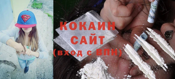 шишки Белокуриха