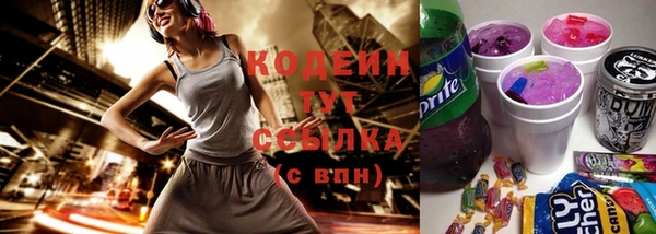 шишки Белокуриха