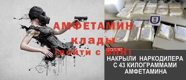 шишки Белокуриха